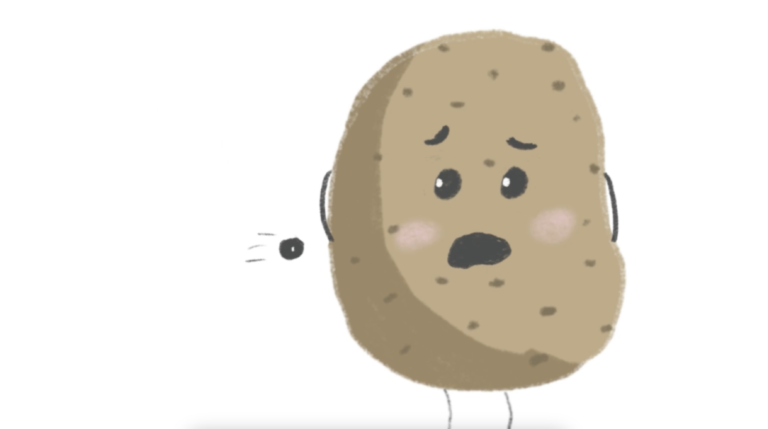 Animatie portfolio