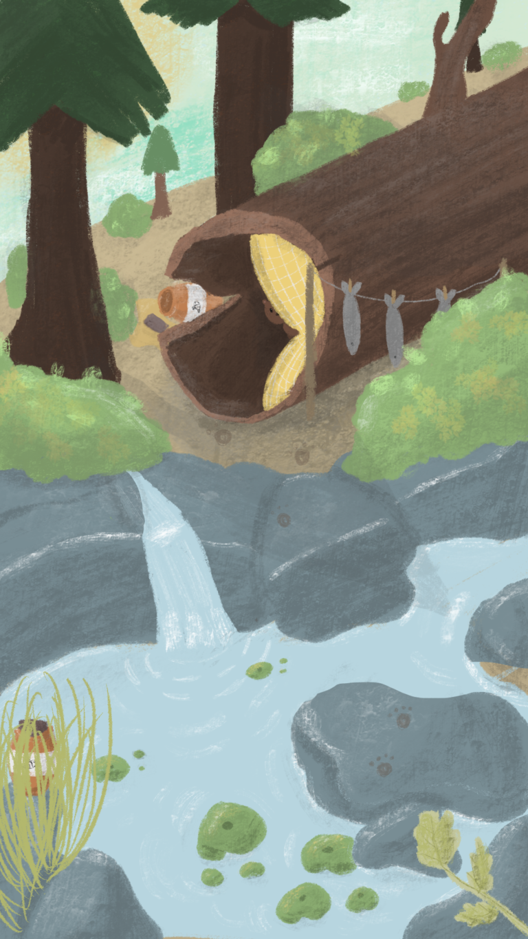 Animatie portfolio